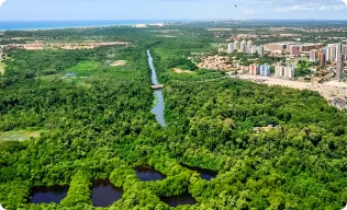 Bairro Cocó em Fortaleza